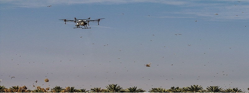 سمپاشي ملخ هاي آبادان با پهپاد سمپاشي ملخ هاي آبادان با پهپاد